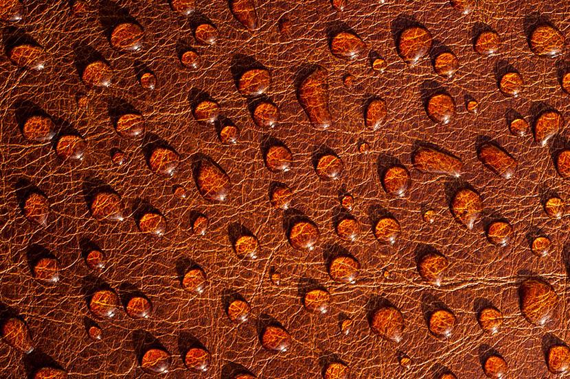 water droplets beading up on brown leather