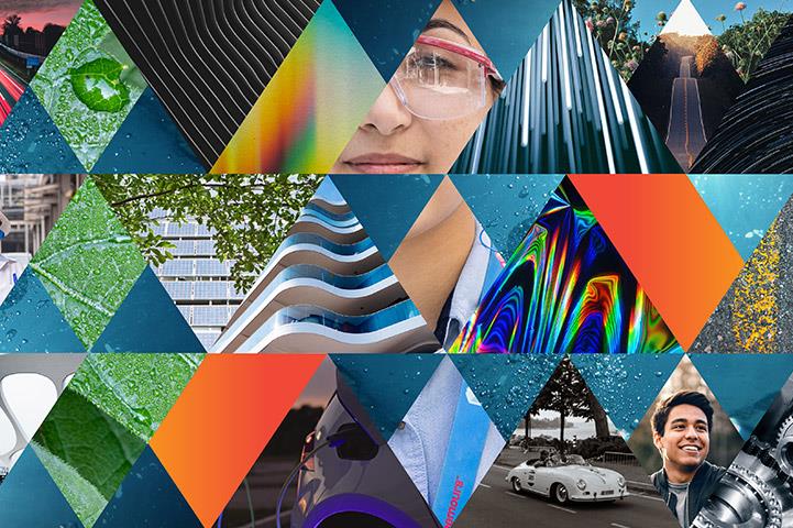 collage of images