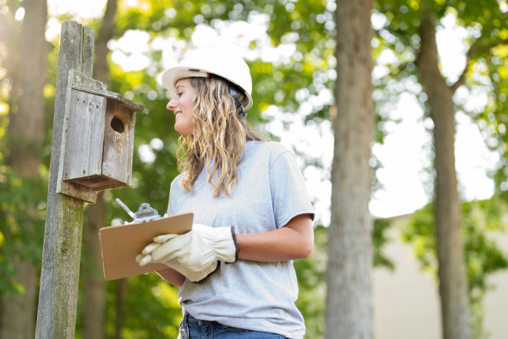 Woman in hardhat checking in on a birdhouse and taking notes