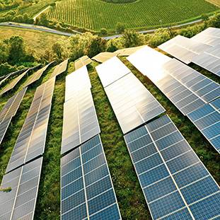 An image of solar panels in a field.