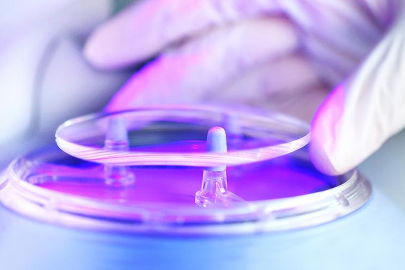 closeup of gloved hand holding eyeglass lens